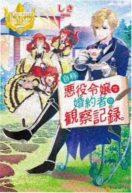 经典动漫 钢之炼金术师 FA